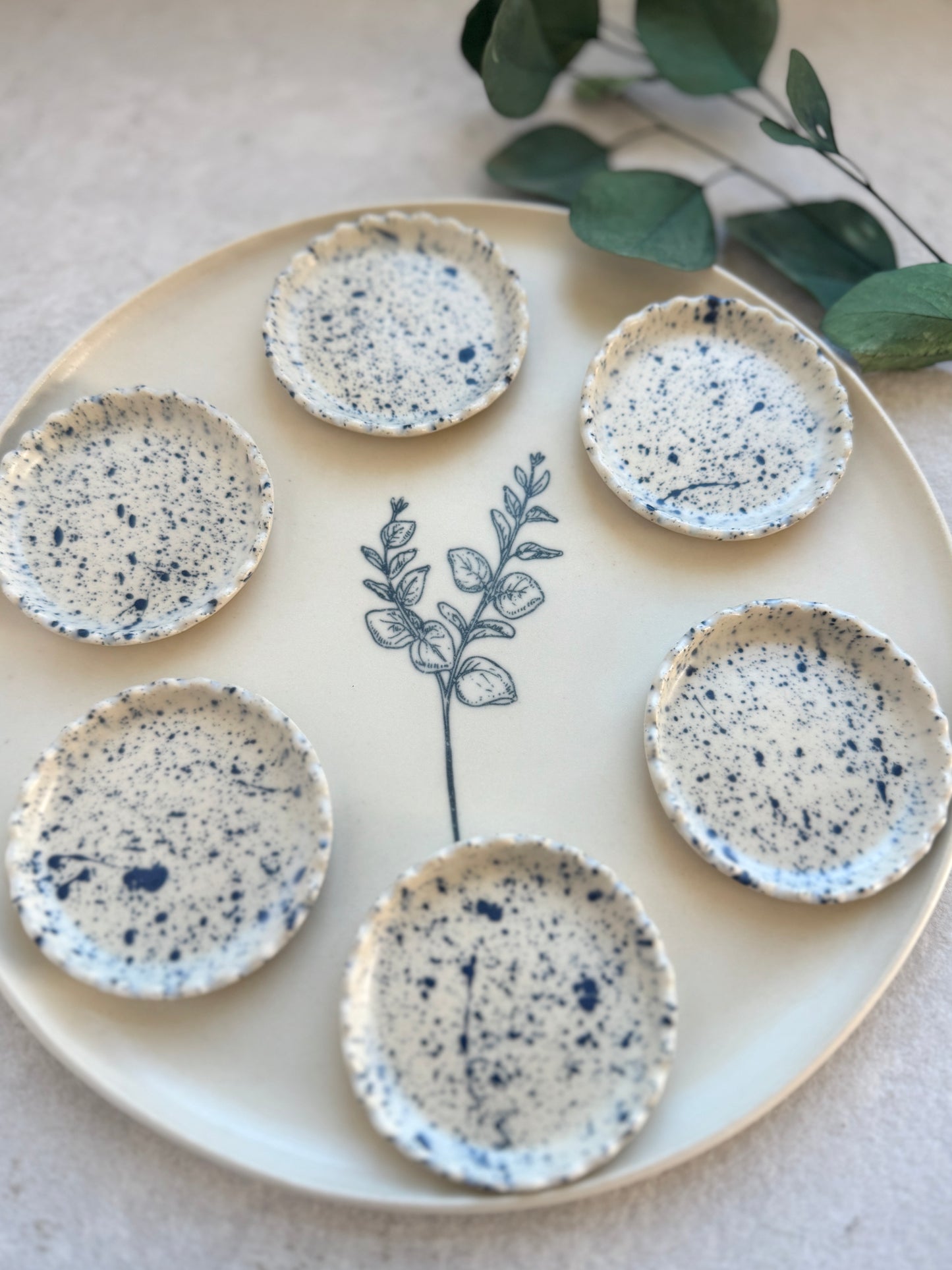 Passover plate