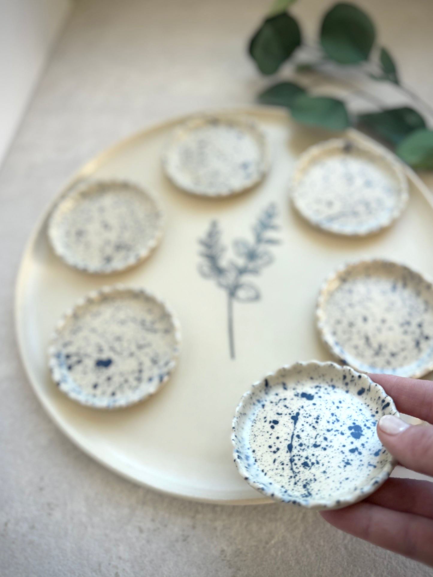 Passover plate